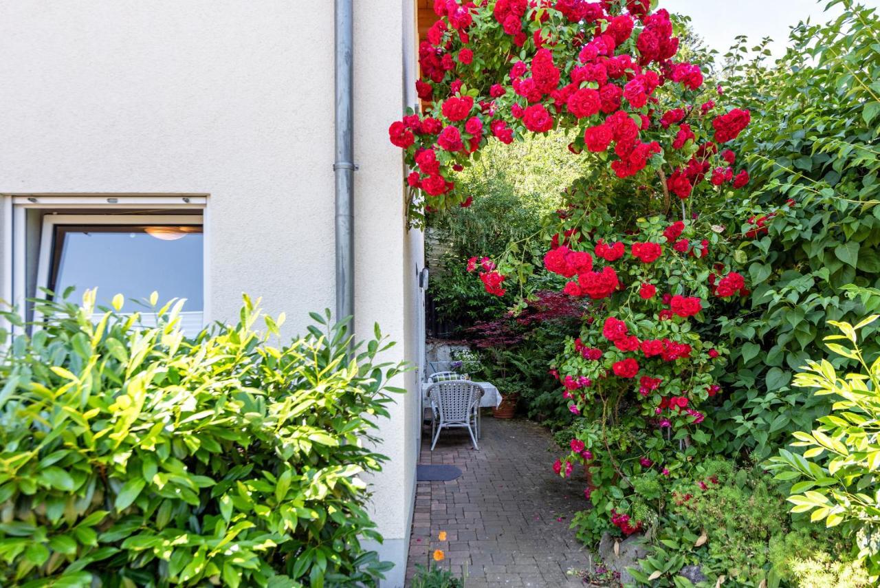 Fewo Im Lenzengarten Apartment Sulzburg Exterior photo