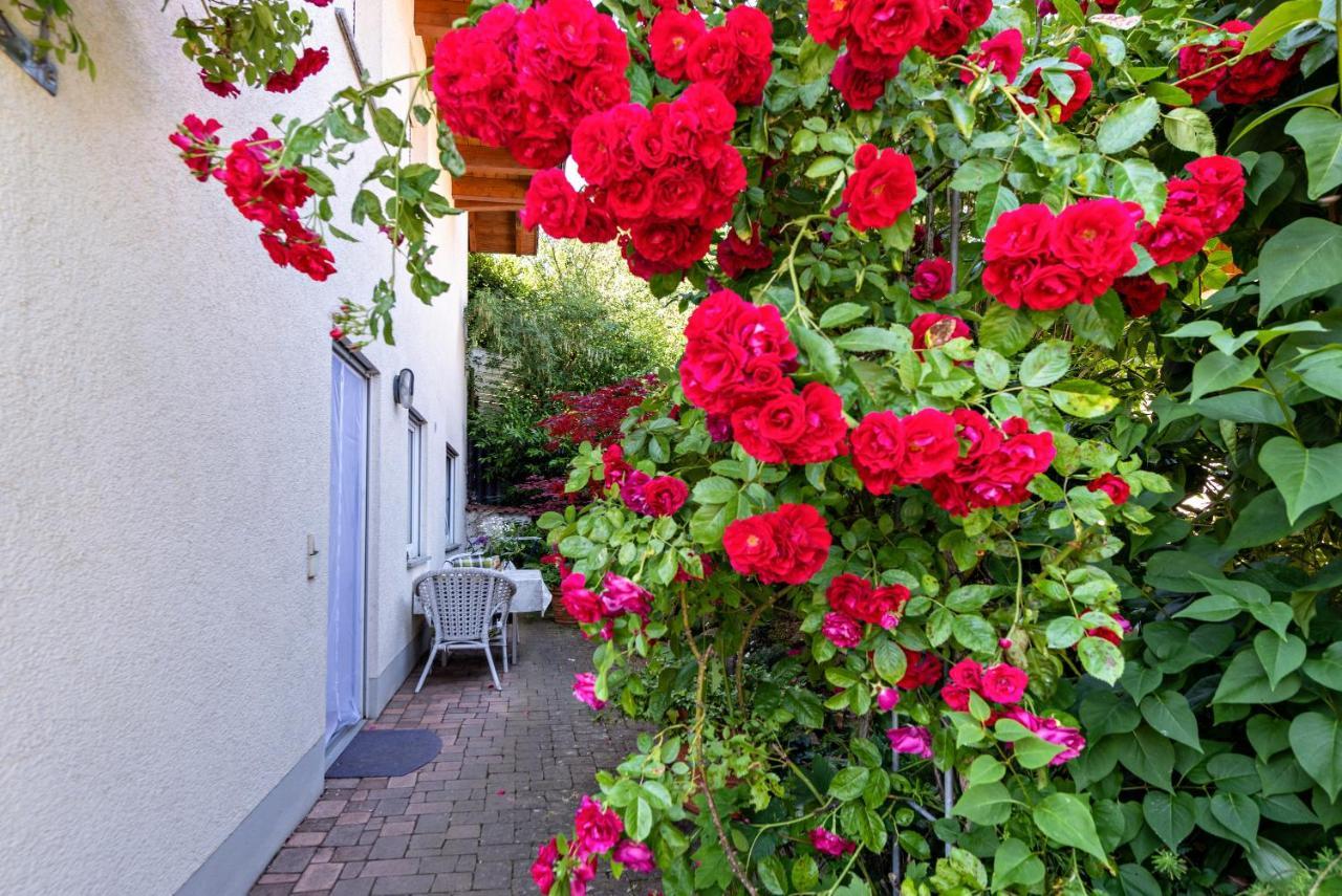 Fewo Im Lenzengarten Apartment Sulzburg Exterior photo